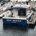 Cougar 8m Catamaran - picture 3