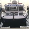 Cougar 8m Catamaran - picture 2